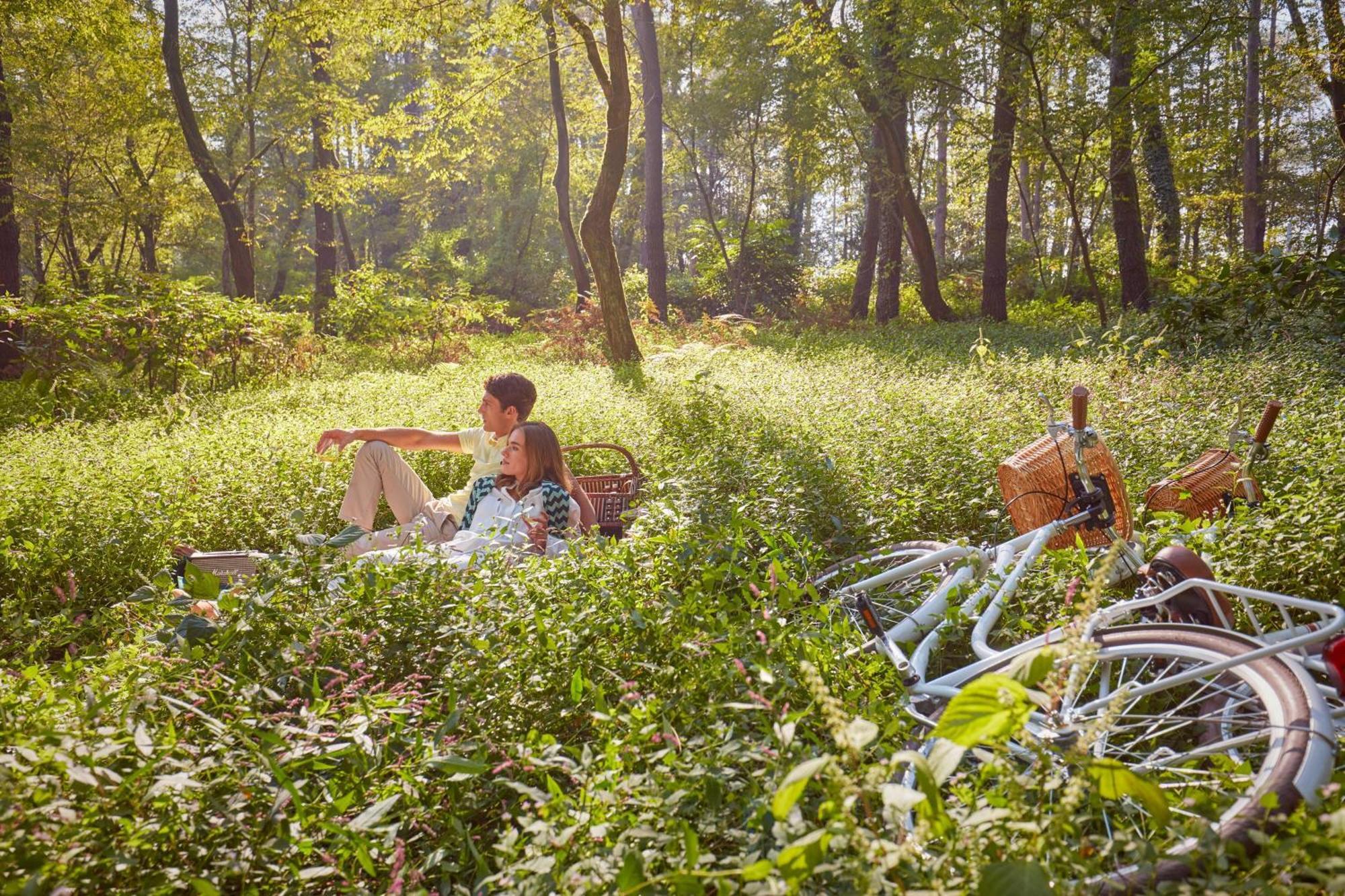 Paragraph Resort & Spa Shekvetili, Autograph Collection Exteriér fotografie A picnic in the woods
