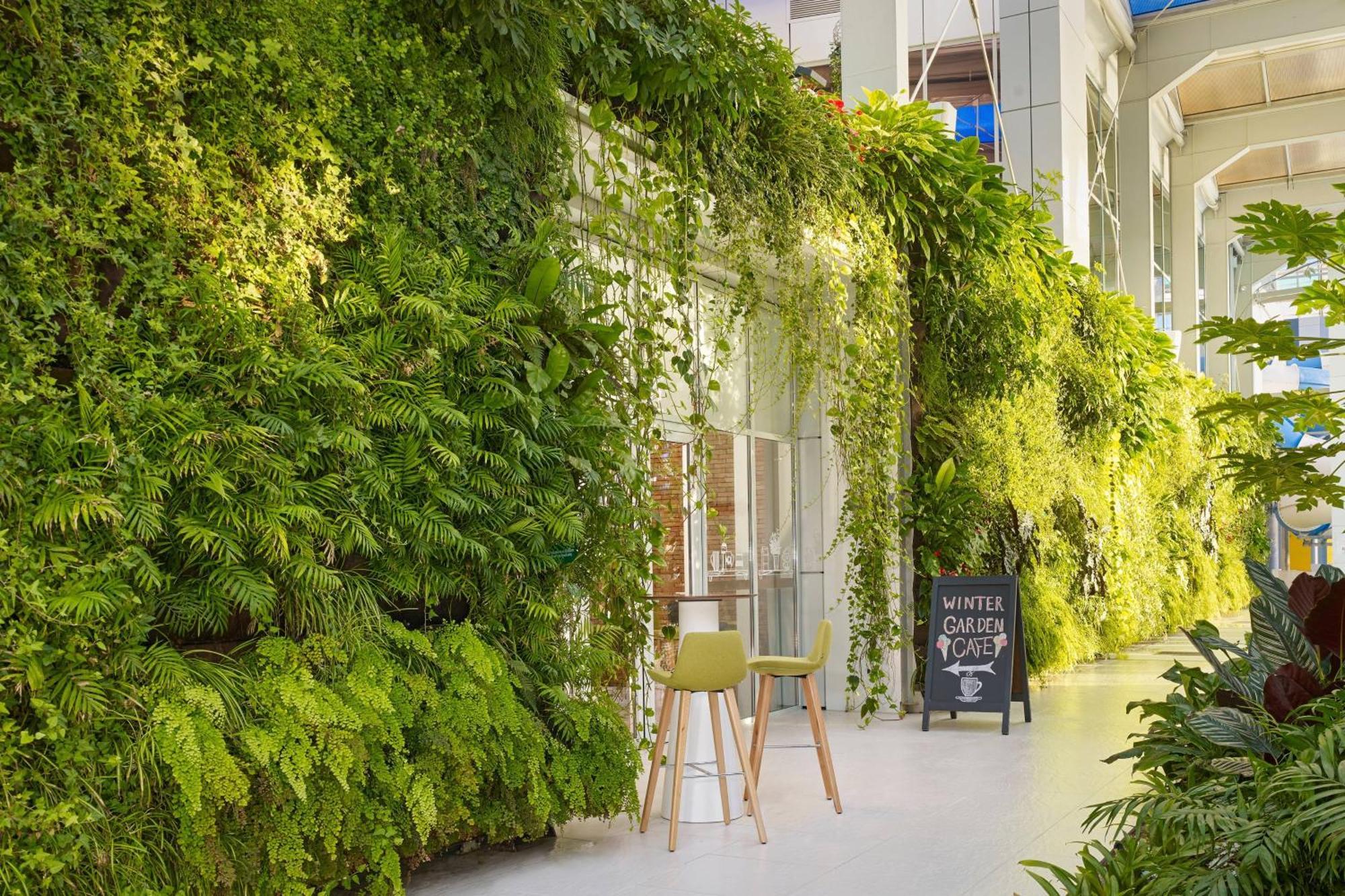 Paragraph Resort & Spa Shekvetili, Autograph Collection Exteriér fotografie Living wall